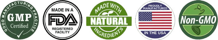 java-brain-gmp-certified